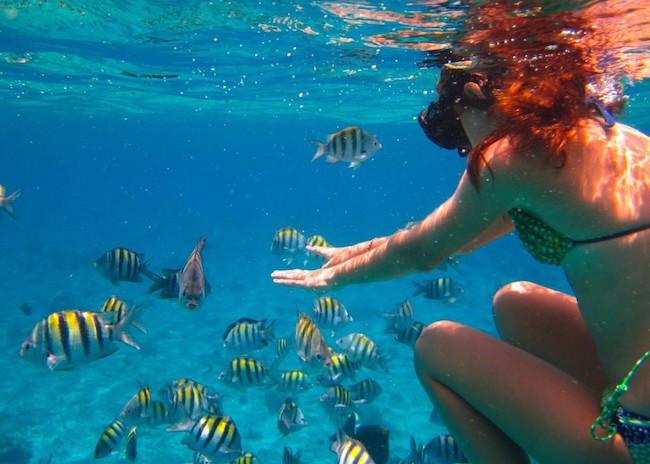 Geneva looking at the yellow fish of the Paradise Reef in Cozumel.