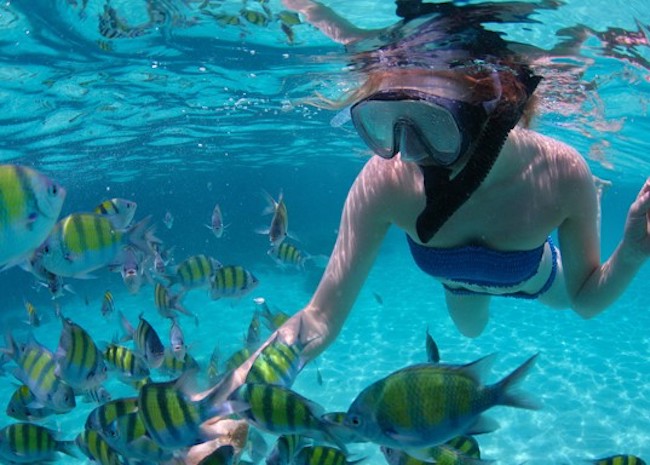 Annie among the fish during the snorkeling tour.