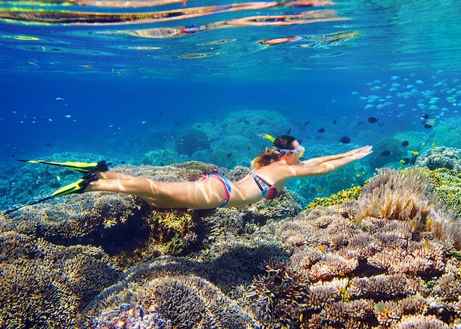 Carolyn and her party snorkeling in shallow waters and following the guide's instructions.