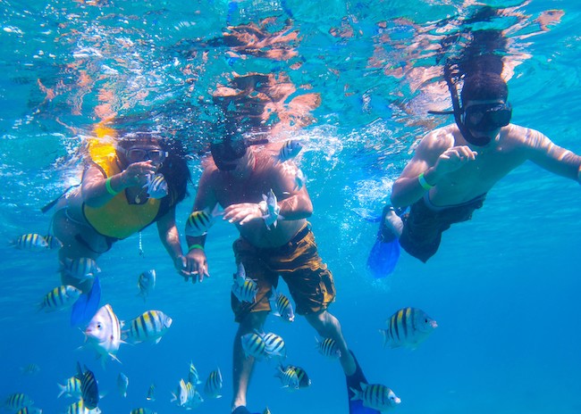 Ernest enjoying the Cozumel snorkeling tour with his friends.
