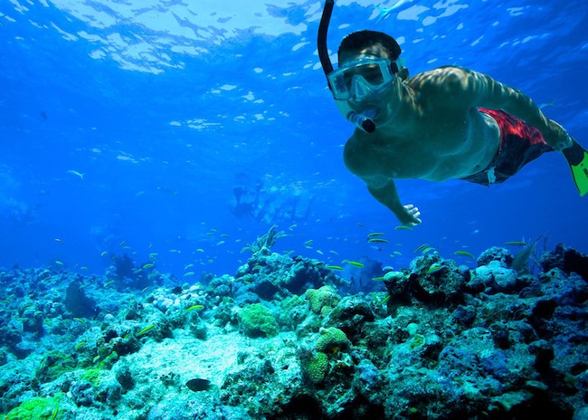 Ismael looking for starfish on the ocean floor of Cozumel.