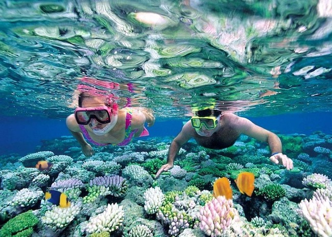 Mary and Theodore looking at the marine life of the Cozumel waters.