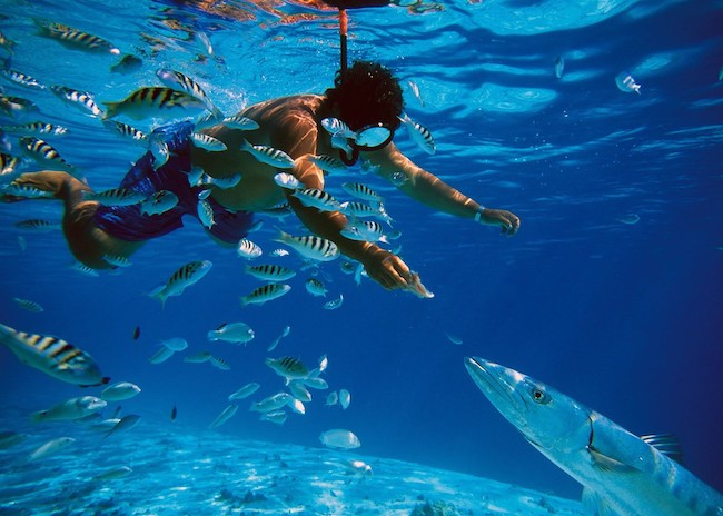 Alberto feeding a fish by hand at dzul-ha reef in cozumel.