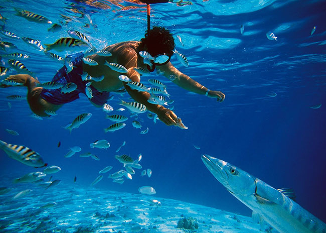 James feeding a fish inside the crystal clear waters.