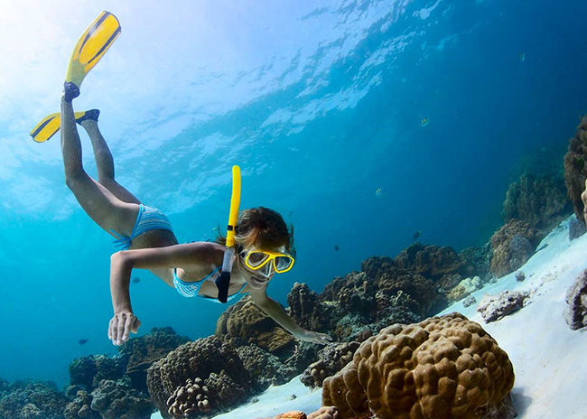 Gertrude snorkeling to the bottom of the sea to watch some rocks.