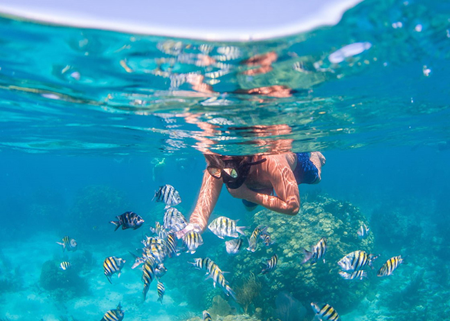 William amazed by the fish he found during his Cozumel snorkeling tour.